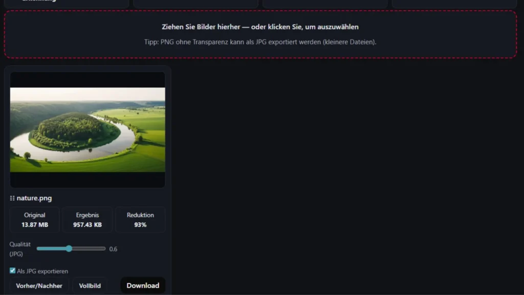  Screenshot des Tools mit ausgewähltem Bild